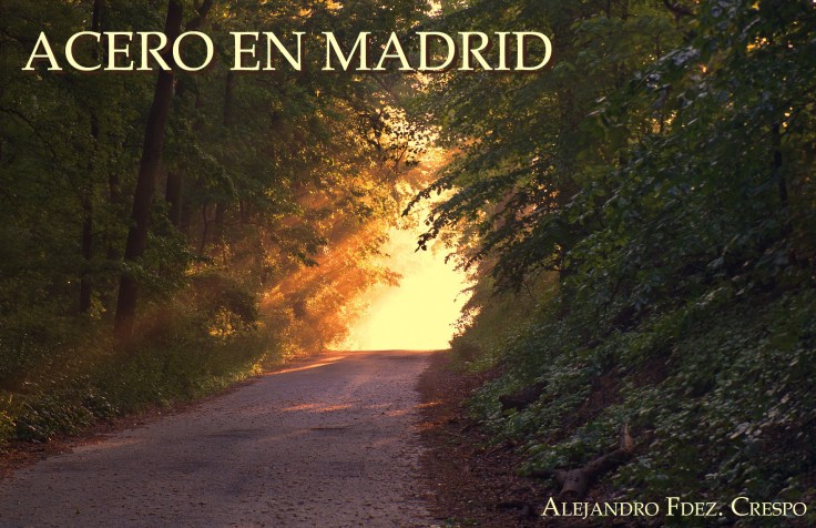 Acero en Madrid